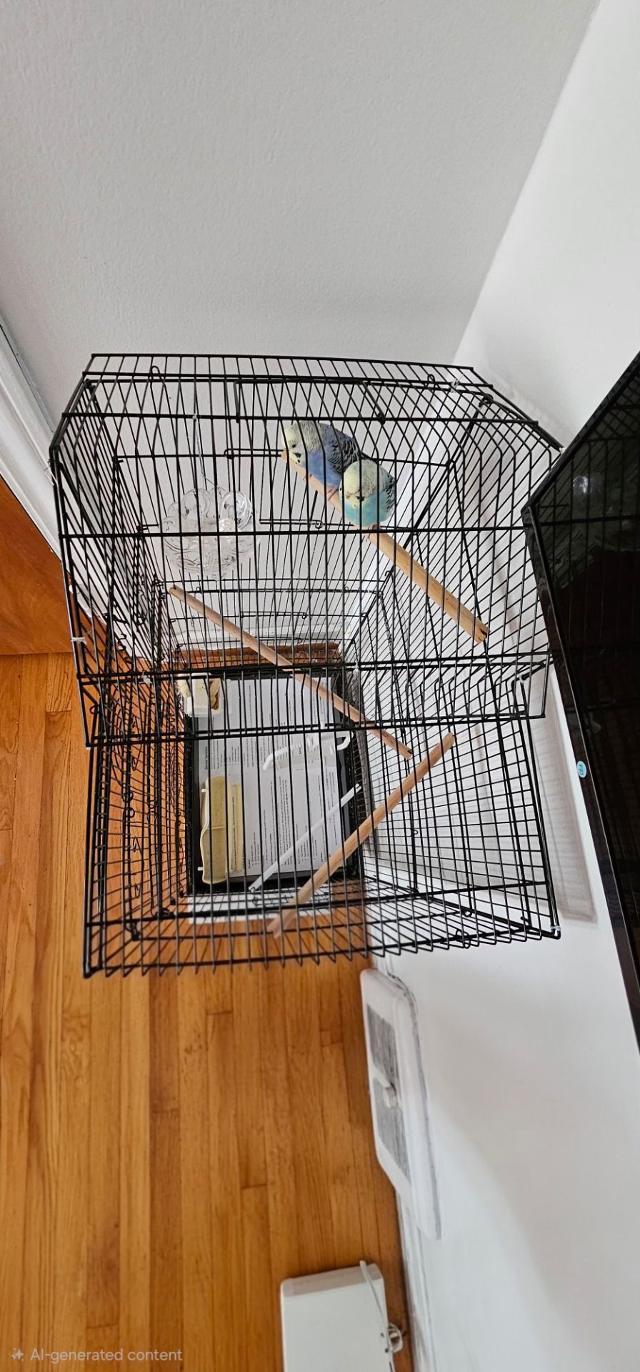 Bird Cage Sale - photo 4