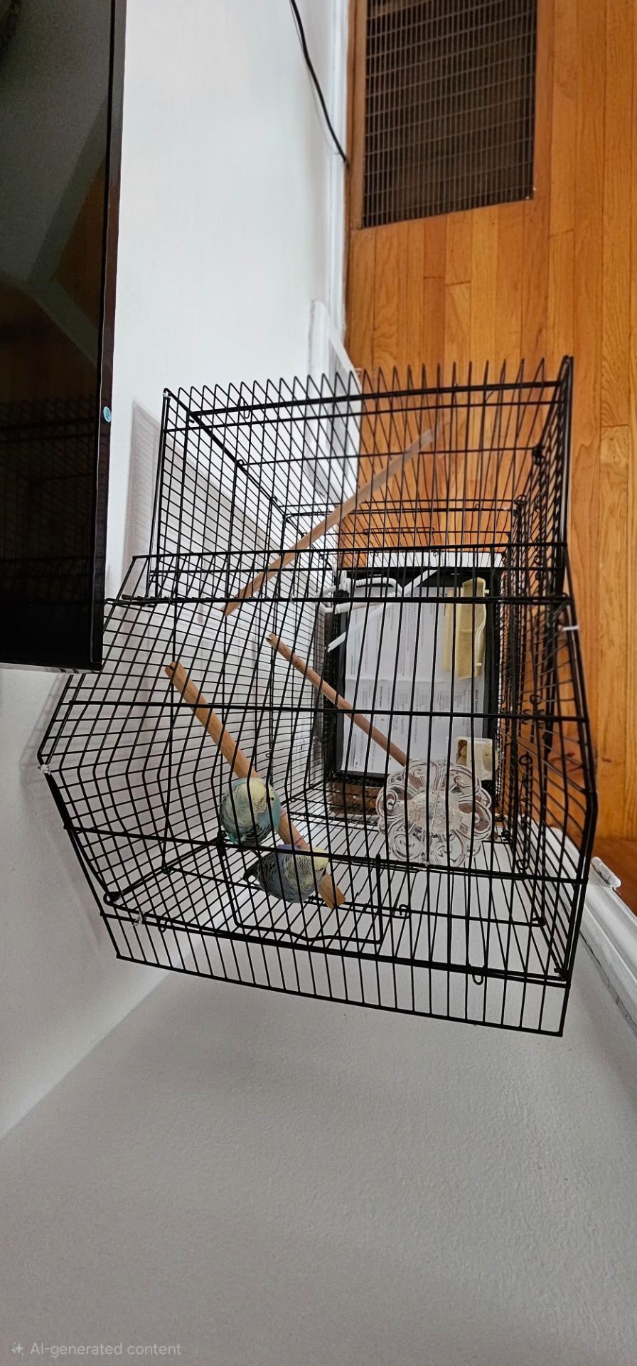 Bird Cage Sale - photo 5