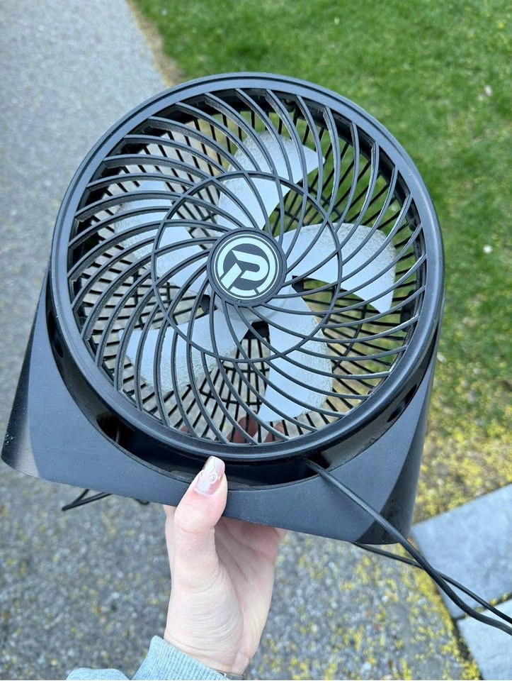 Fan