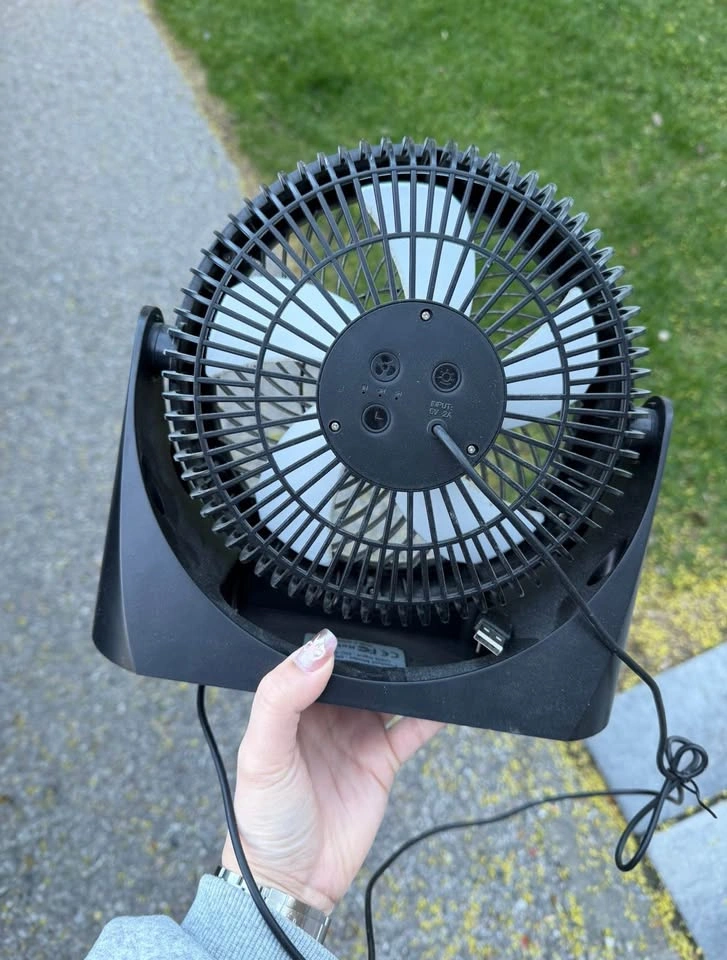 Fan - photo 2