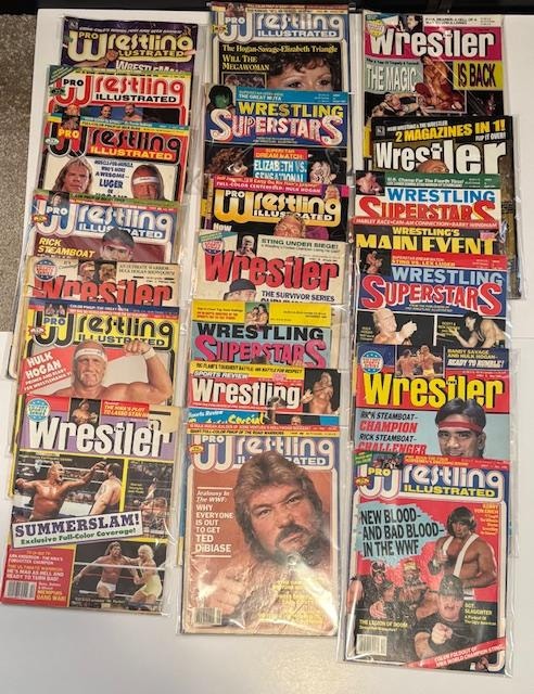 Vintage and new: Wrestling, Transformers, MOTU and more! - photo 3