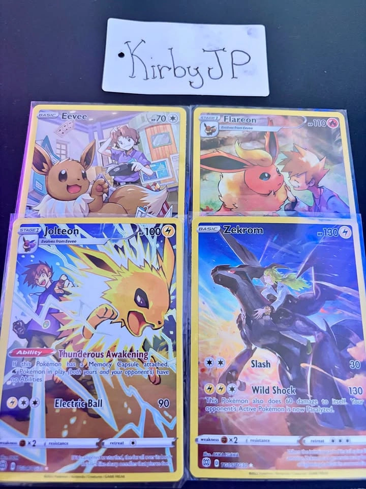 Pokémon - Eevee, Flareon, Jolteon, Zekrom Trainer Gallery