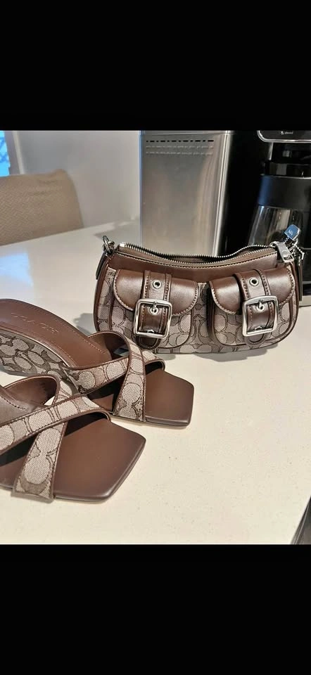 Ashton coach bag