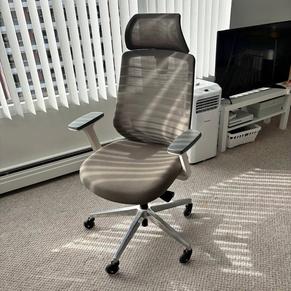 Branch Ergonomic Office Chair with Headrest
