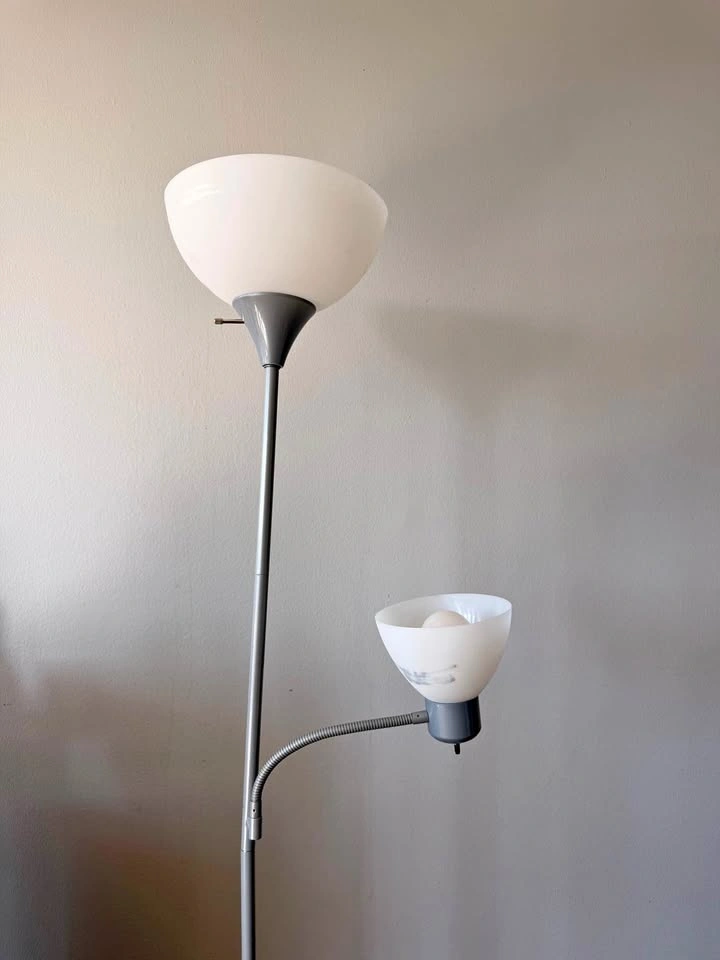2 Floor Lamps