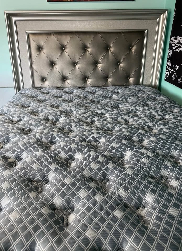 Upholstered Queen Bed - photo 2