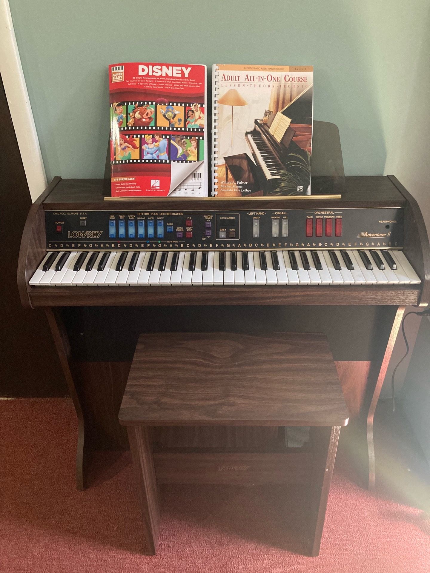 Private Music Lessons - photo 4
