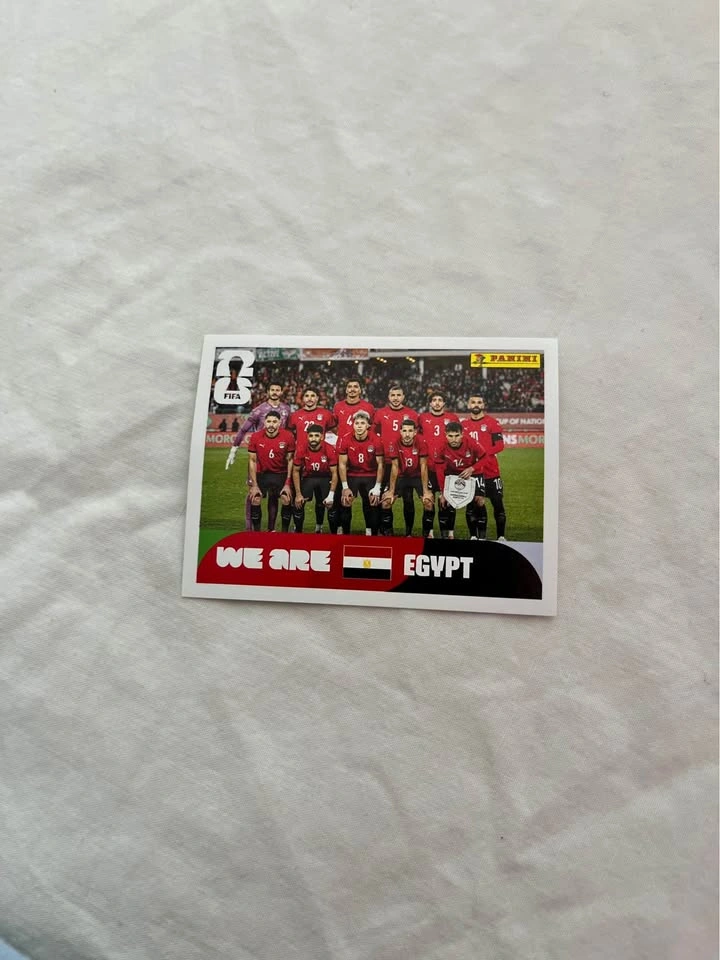 Fifa World Cup Panini Cards