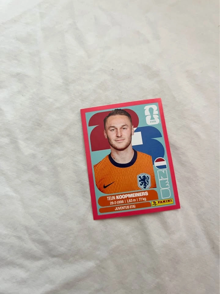 Fifa World Cup Panini Cards - photo 4