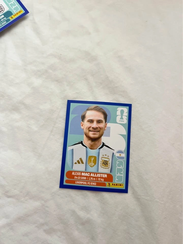 Fifa World Cup Panini Cards - photo 5