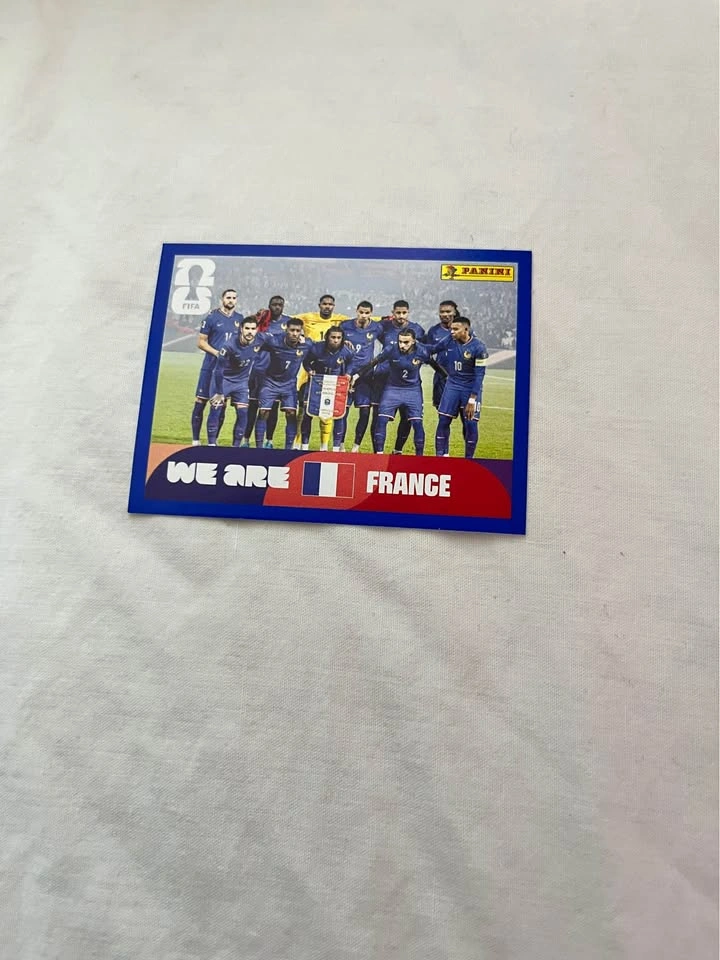 Fifa World cup Panini Cards