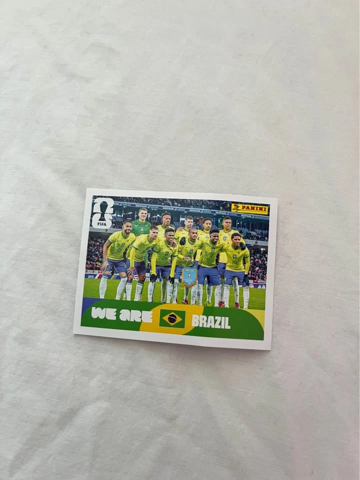 Fifa World cup Panini Cards - photo 3