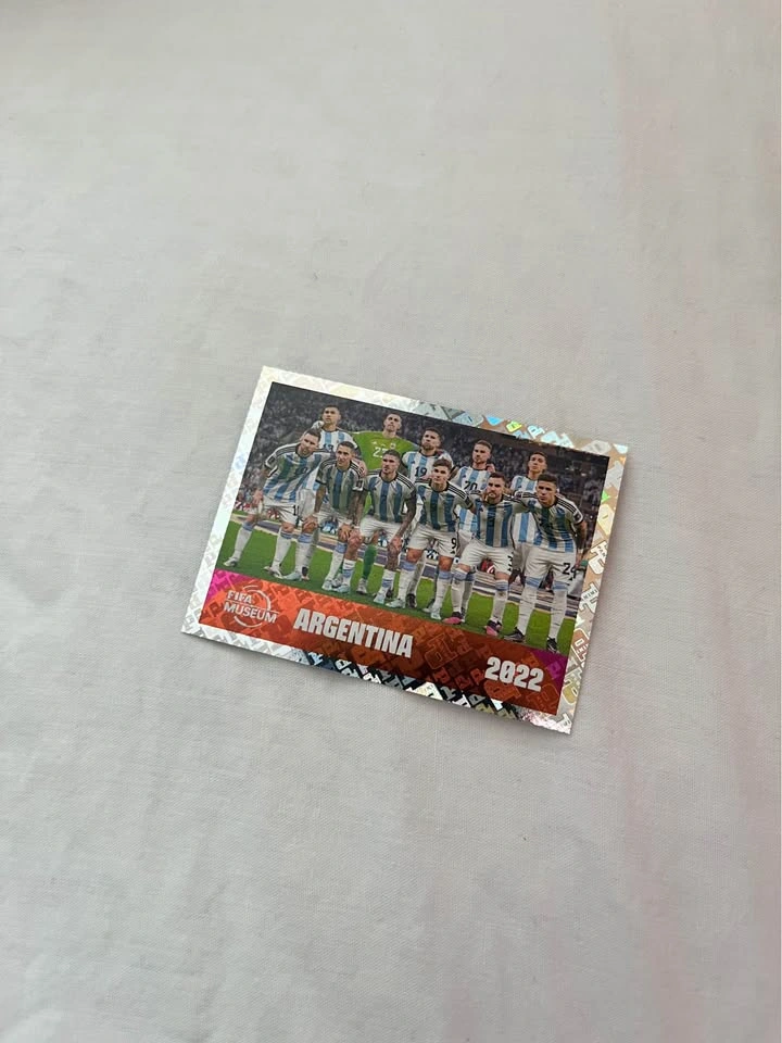 Fifa World cup Panini Cards - photo 5