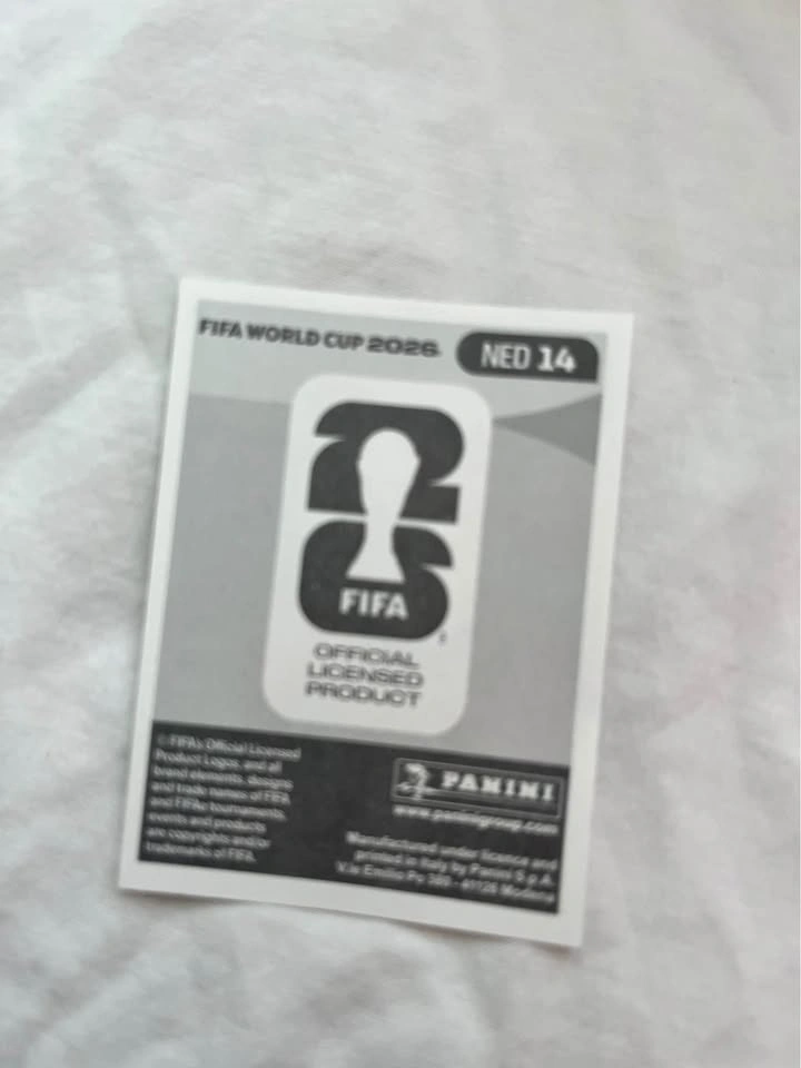 Fifa World Cup Panini Cards - photo 2