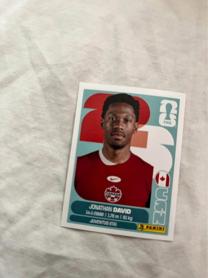 Fifa World Cup Panini Cards - photo 3