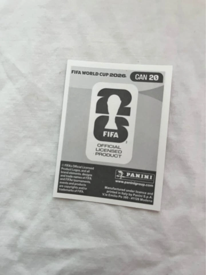 Fifa World Cup Panini Cards - photo 4