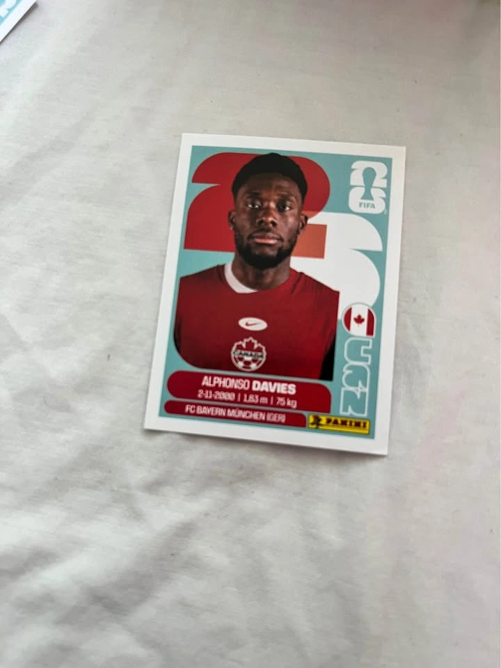 Fifa World Cup Panini Cards - photo 5