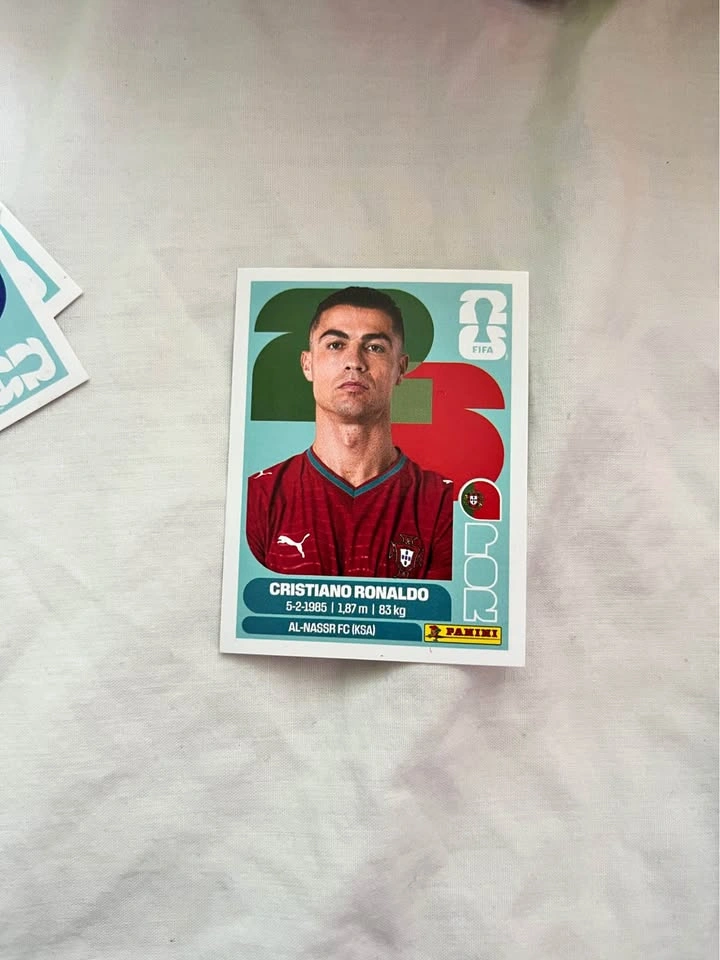Fifa World Cup Panini Cards
