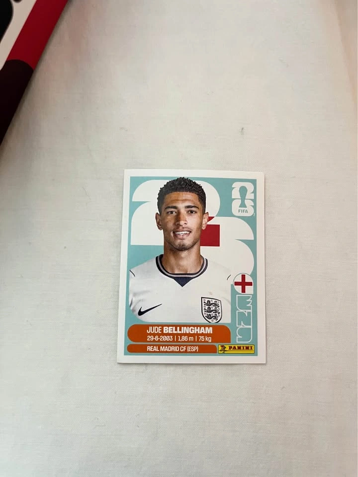Fifa World Cup Panini Cards - photo 3