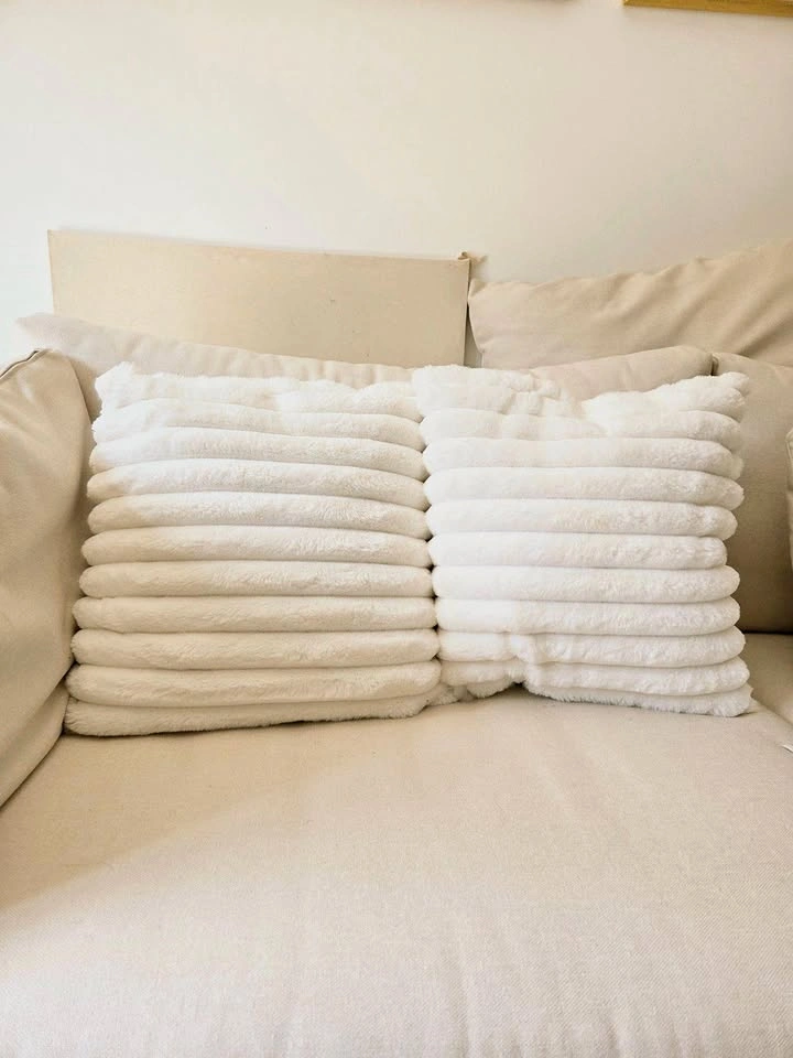 Plush Couch Cushions x 2