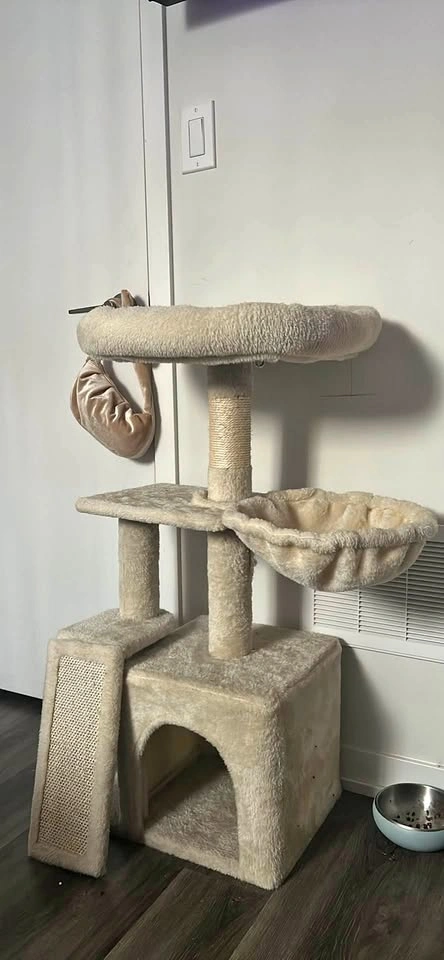 cat tower