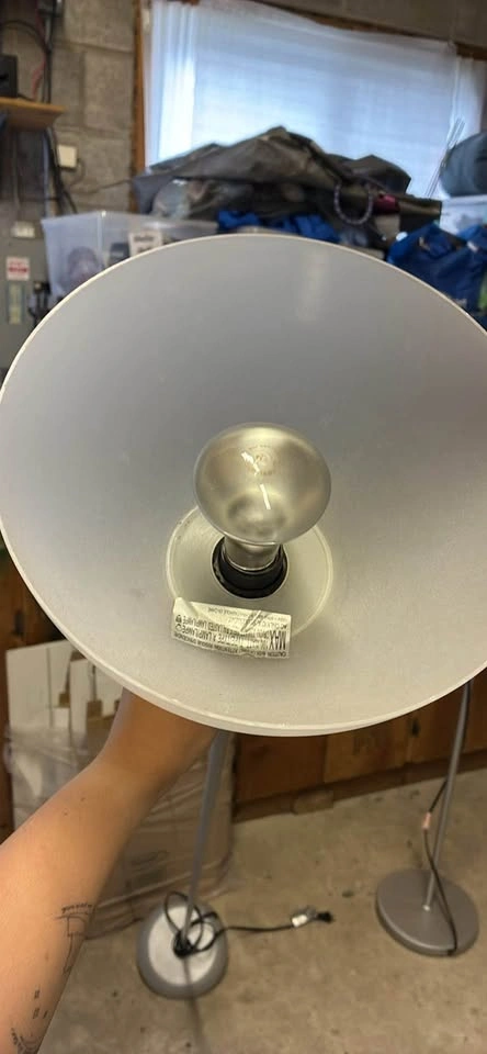 Lamp - photo 4