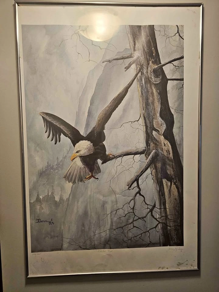 James Glenn 'Eagle's Eye' Signed and Numbered Print