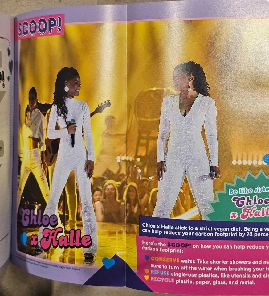 Scoop! Chloe x Halle Biography and Remi Rose Spiral Notebook - photo 3