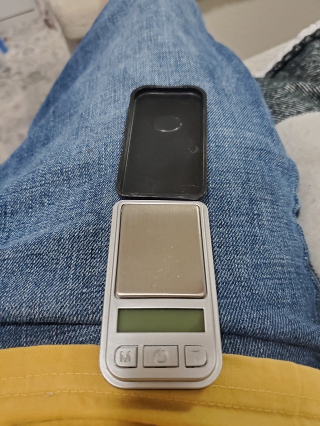Apple Mini Scale - photo 2