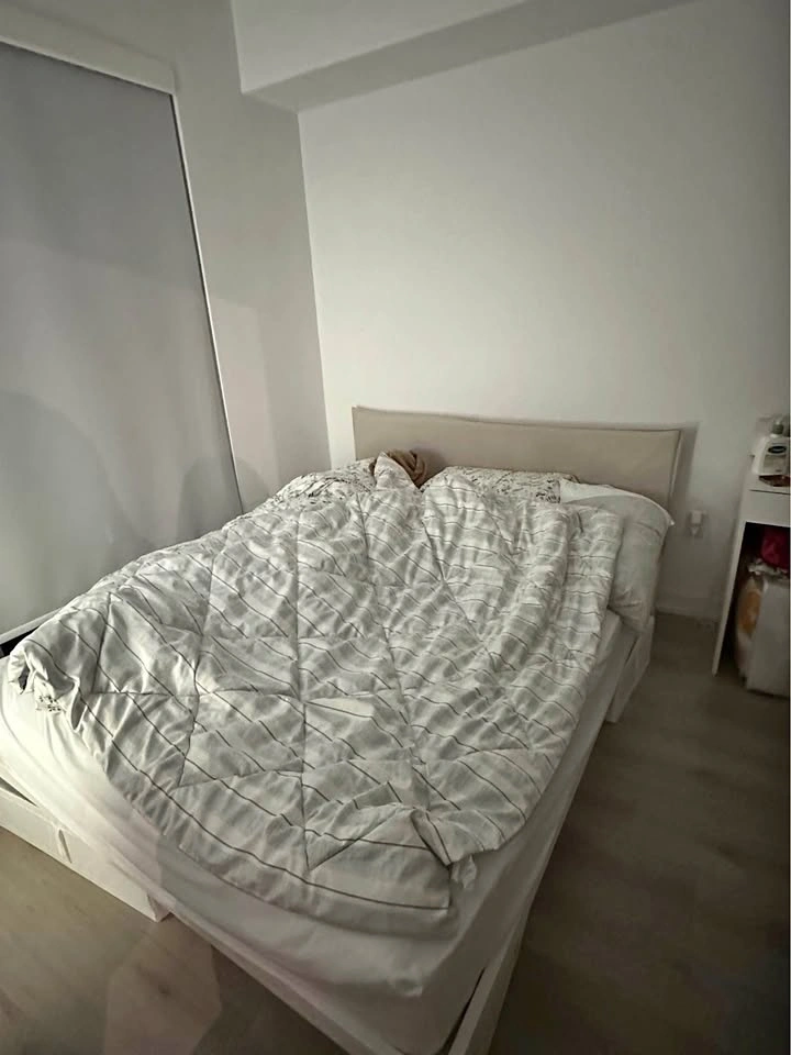 Queen size Sleepcountry Mattress + IKEA Bed frame