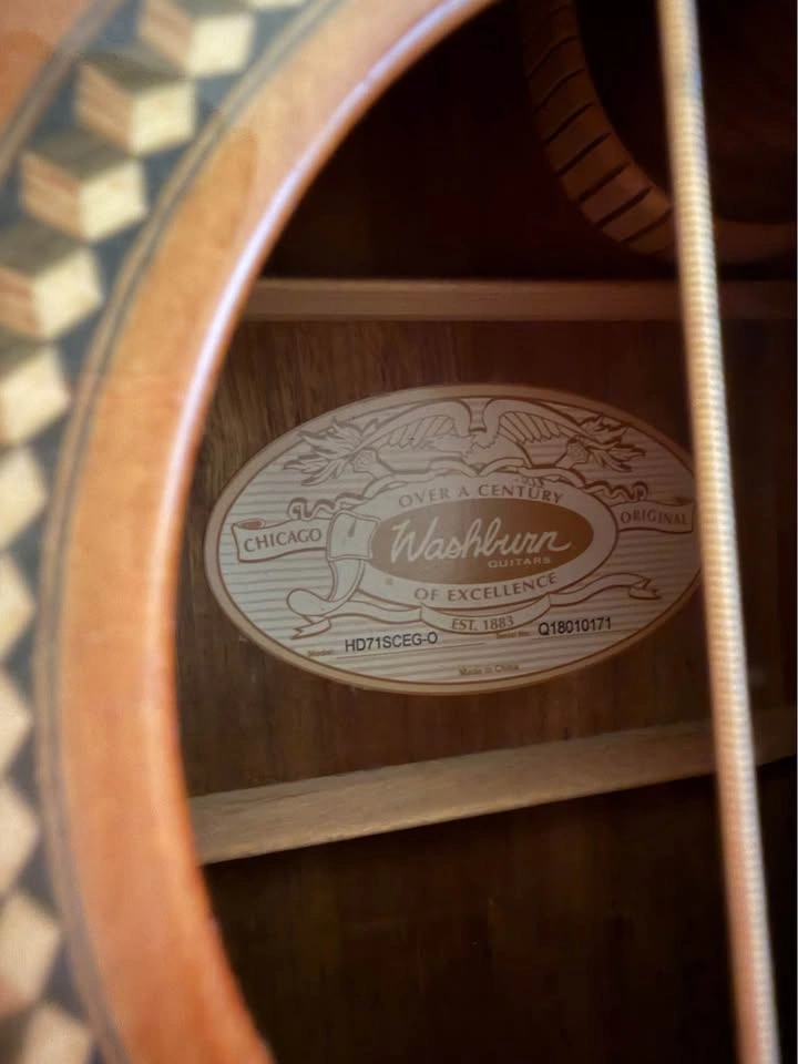 Washburn Dreadnought Acoustic-Electric Guitar - photo 5