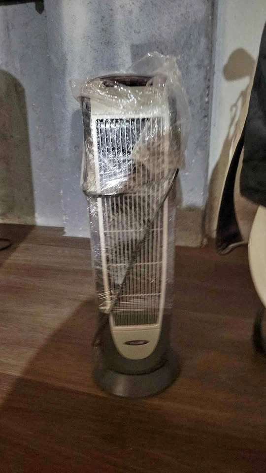 Small Oscillating Tower Fan
