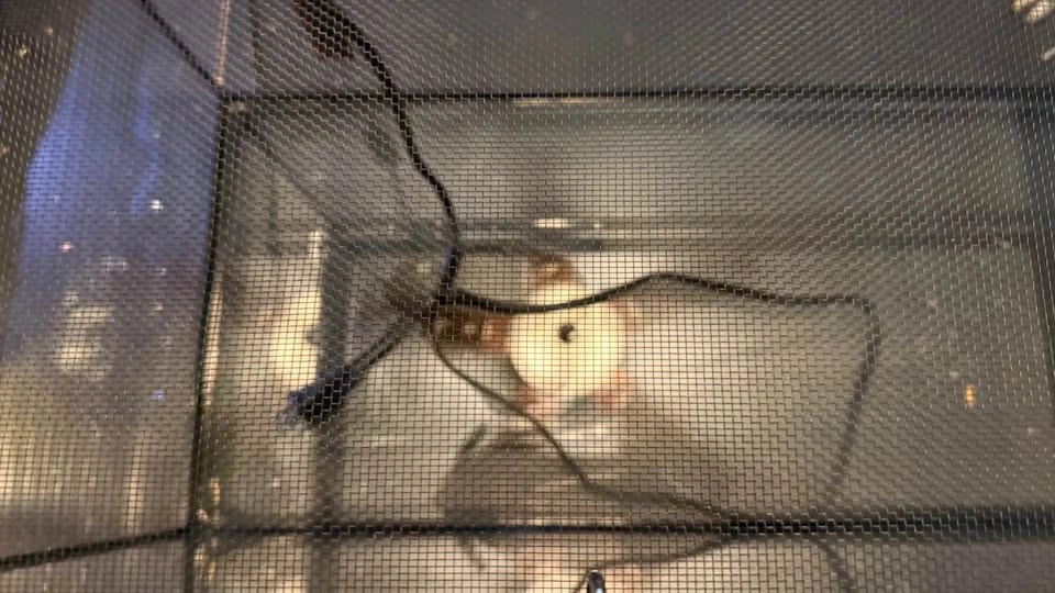 ZooMed 20 gal reptile tank - photo 2