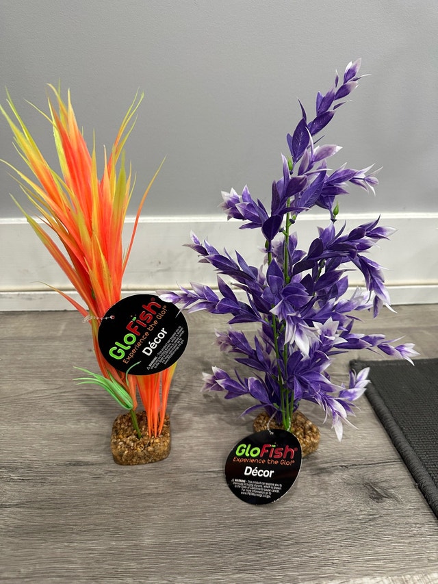 GloFish Aquarium Plants