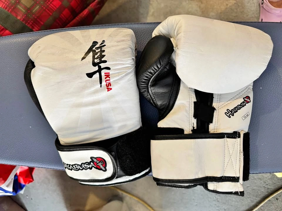 Hayabusa Ikusa 16oz Boxing Gloves