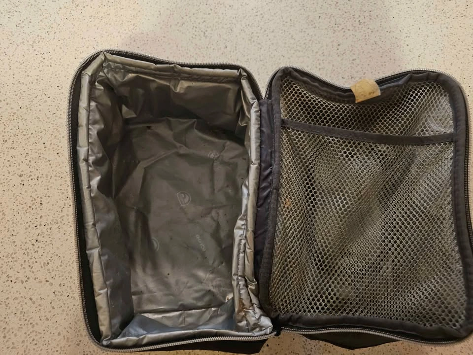 Igloo x Carhartt Insulated Lunch Bag - photo 2