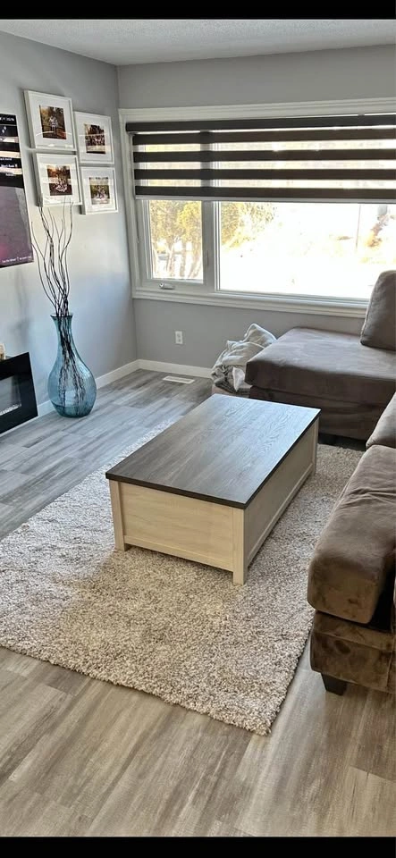 Shaggy Area Rug 5x7- off white