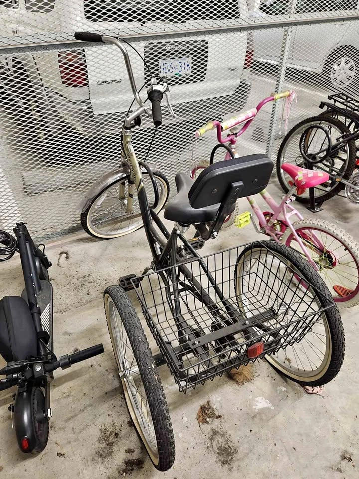 3 wheel bike with basket for adult