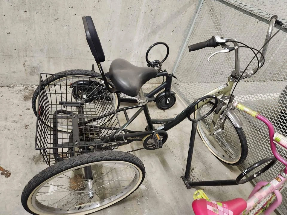 3 wheel bike with basket for adult - photo 2