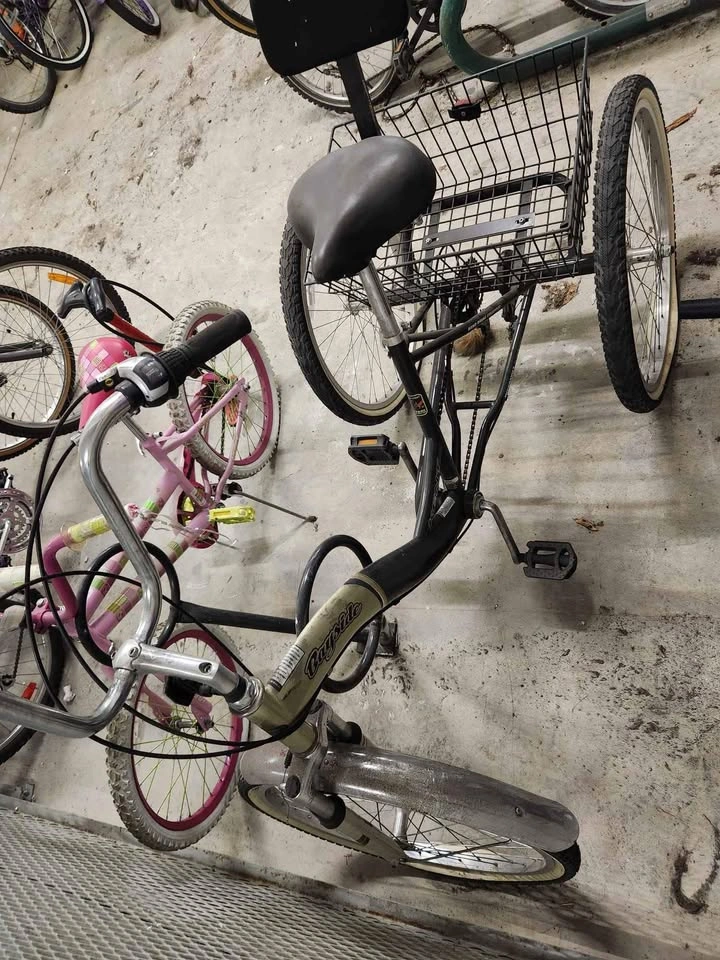 3 wheel bike with basket for adult - photo 3