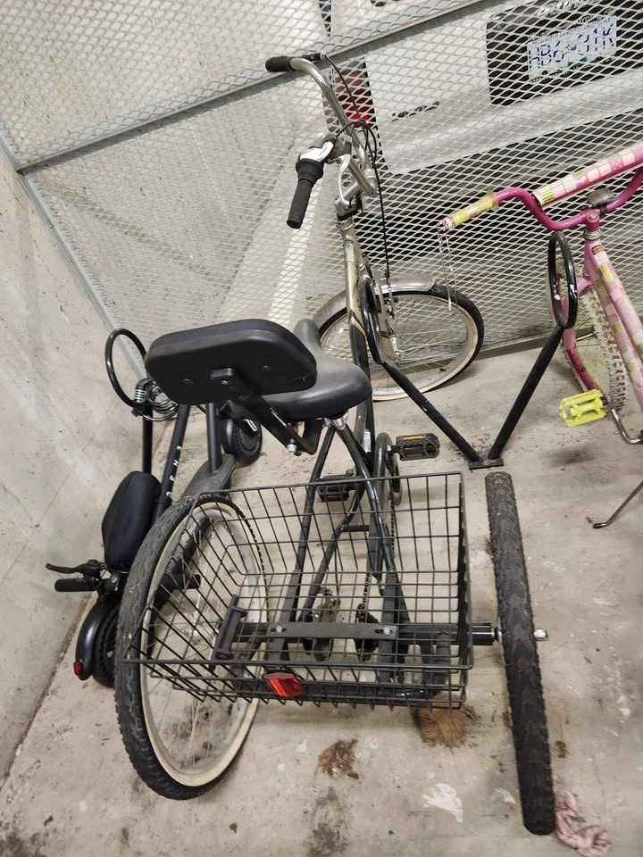 3 wheel bike with basket for adult - photo 4