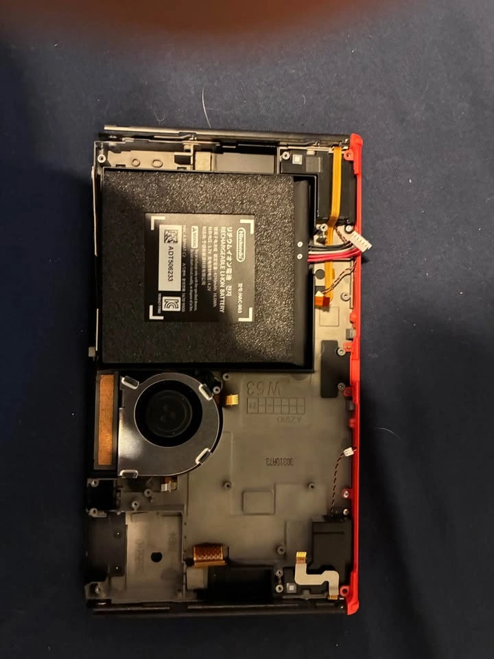 Nintendo Switch Screen and Back Panel - photo 2
