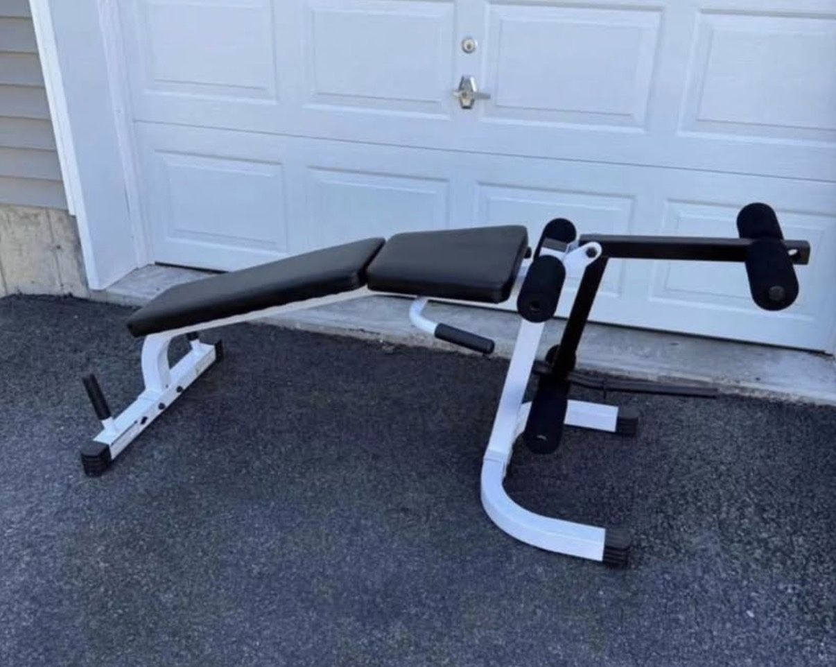 Body Solid Leg Extension/Leg Curl And Seated Calf Raises