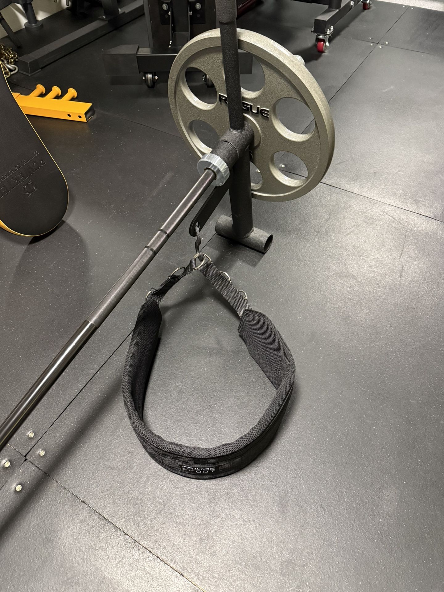 EliteFTS Core Blaster Belt Squat Attachments With New Belt