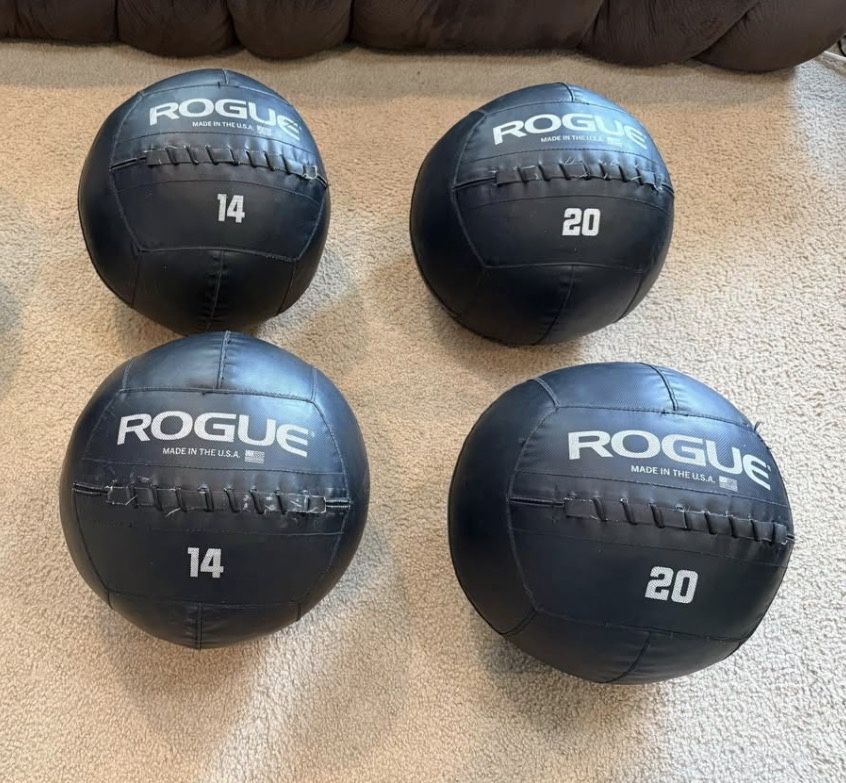 Rogue Fitness & Dynamax Wall/ Medicine Balls Gym Equipment - photo 3