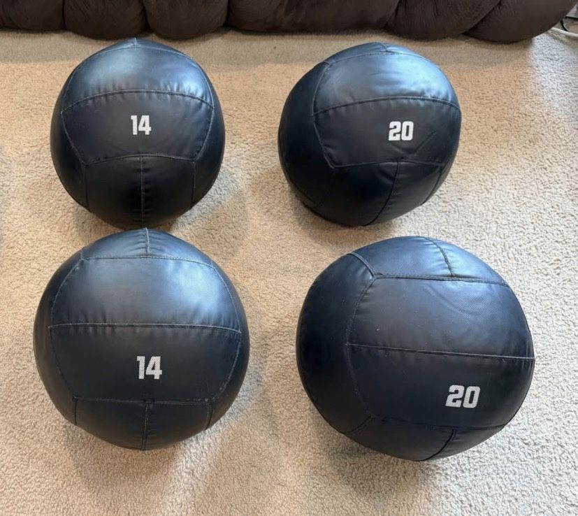 Rogue Fitness & Dynamax Wall/ Medicine Balls Gym Equipment - photo 4