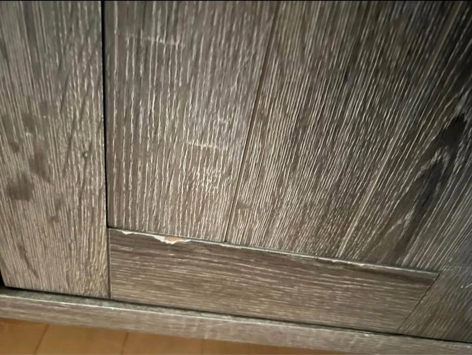 Fireplace TV unit - photo 4