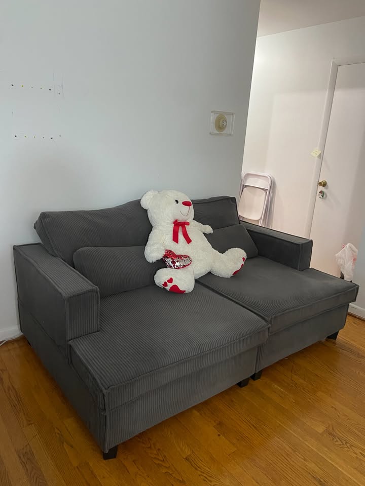 Gray Sofa - Great Condition - photo 2