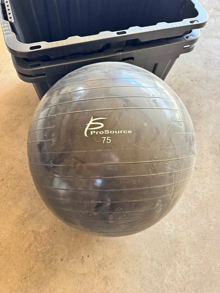 ProSource 75cm Exercise Ball