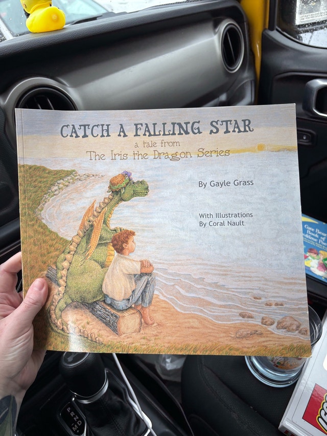 Catch a Falling Star by Gayle Grass - Childrens mental health